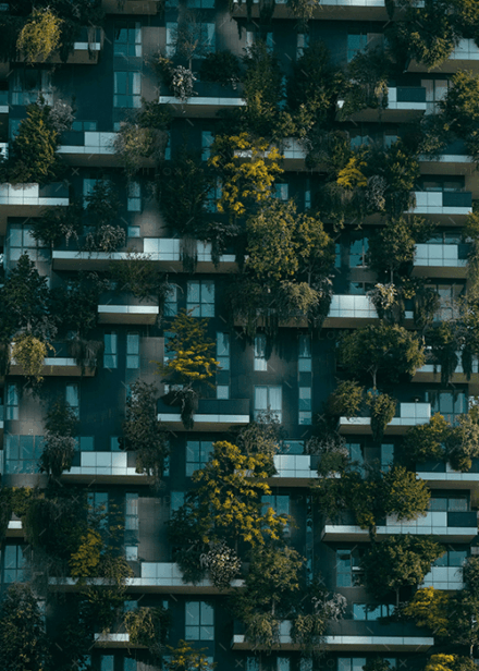 demo-attachment-2199-pexels-francesco-ungaro-4322027