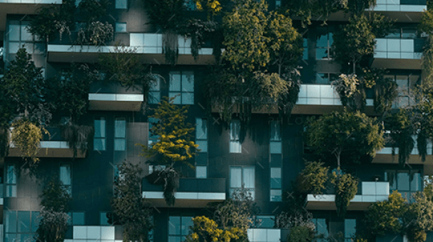 demo-attachment-2199-pexels-francesco-ungaro-4322027